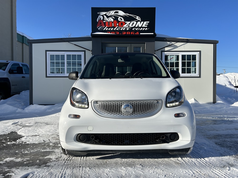 Auto Zone Chaleur PetitRocher 2016 Smart Fortwo