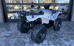 Aperçu 3 - 2024 YAMAHA YFM700 (Grizzly 700)