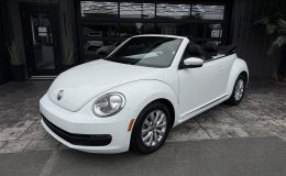 Aperçu 1 - 2014 Volkswagen Beetle 1.8T, TDI