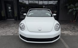 Aperçu 3 - 2014 Volkswagen Beetle 1.8T, TDI