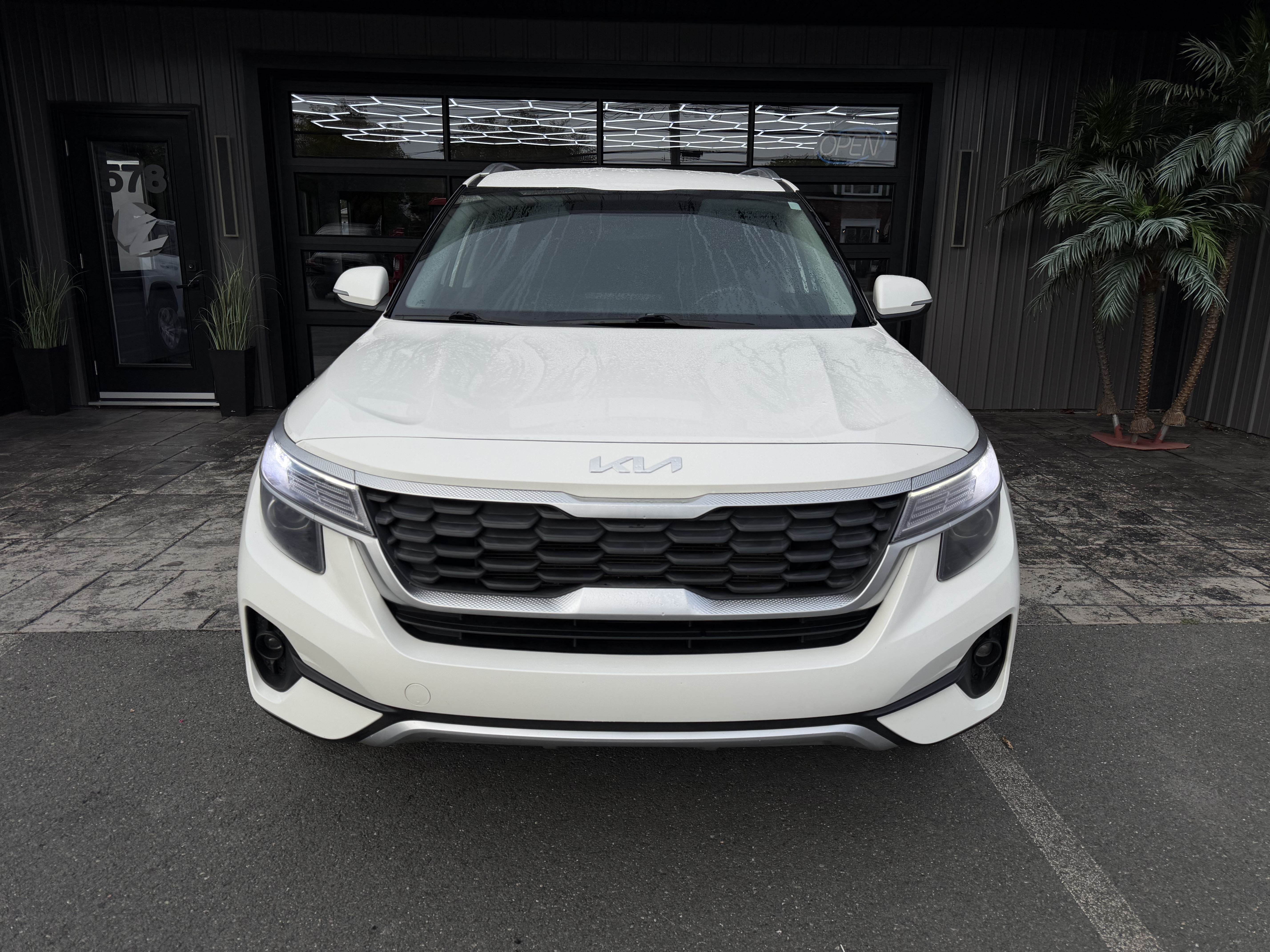 Image 2 - 2023 Kia Seltos
