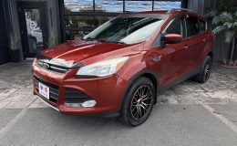 Aperçu 1 - 2015 Ford Escape SE